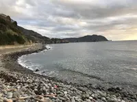 伊浜の写真・動画_image_333889