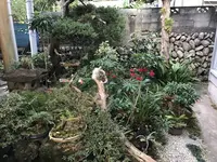 めぐみ荘の写真・動画_image_333939