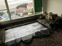 めぐみ荘の写真・動画_image_333942