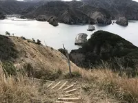 子浦三十三観音の写真・動画_image_333979