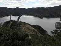 子浦三十三観音の写真・動画_image_333981