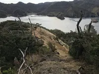 子浦三十三観音の写真・動画_image_333982