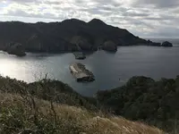 子浦三十三観音の写真・動画_image_333984