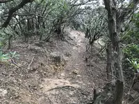 子浦三十三観音の写真・動画_image_333988