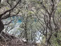 子浦三十三観音の写真・動画_image_333992