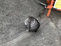 子浦三十三観音の写真・動画_image_333997