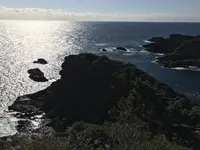 石廊崎の写真・動画_image_334043