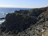 石廊崎の写真・動画_image_334046