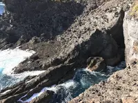 石廊崎の写真・動画_image_334057