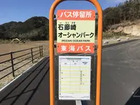 石廊崎の写真・動画_image_334061