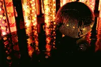 キモノフォレストの写真・動画_image_334150