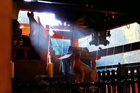 伏見稲荷大社の写真・動画_image_334156