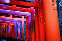 伏見稲荷大社の写真・動画_image_334157