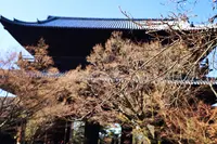 南禅寺の写真・動画_image_334172