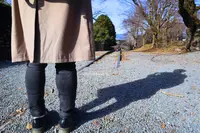蹴上インクラインの写真・動画_image_334173