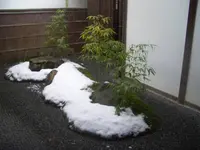 三千院の写真・動画_image_334351