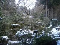 三千院の写真・動画_image_334353