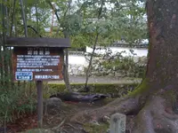 勝林院の写真・動画_image_334361