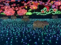 伊豆ぐらんぱる公園の写真・動画_image_334426