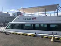 辰ノ島の写真・動画_image_334647