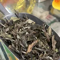 英記茶荘の写真・動画_image_334773