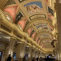 The Venetian Macau Resort Hotelの写真・動画_image_335096