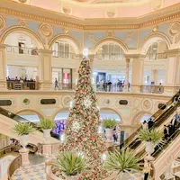 The Venetian Macau Resort Hotelの写真・動画_image_335098