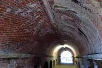 ねじりまんぽの写真・動画_image_335437