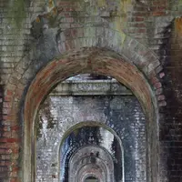 南禅寺の写真・動画_image_335438