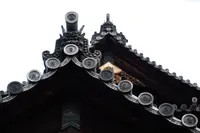 南禅寺の写真・動画_image_335439