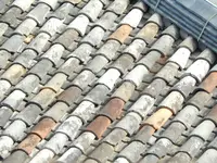 元興寺の写真・動画_image_335923