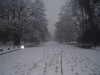 京都御苑の写真・動画_image_336179