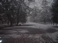 京都御苑の写真・動画_image_336180
