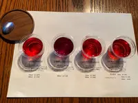 グレイスワイン千歳ワイナリーの写真・動画_image_336613