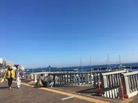 熱海サンビーチの写真・動画_image_337177