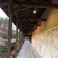 シェラトン・グランデ・オーシャンリゾート - Sheraton Grande Ocean Resortの写真・動画_image_337207