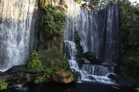 龍山寺（Longshan Temple）の写真・動画_image_337304