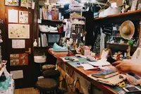 谷中ジンジャーの写真・動画_image_337386