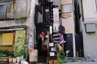 谷中ジンジャーの写真・動画_image_337387