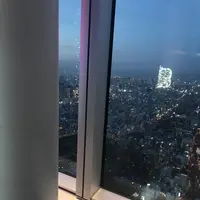 ハルカス300 展望台の写真・動画_image_337465