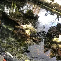 明神池名水公園の写真・動画_image_338391