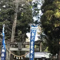 白川水源の写真・動画_image_338396