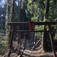 三凩稲荷神社の写真・動画_image_338431