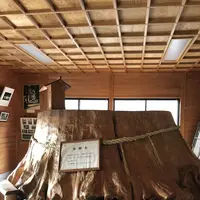 国造神社の写真・動画_image_338436