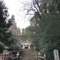 国造神社の写真・動画_image_338440
