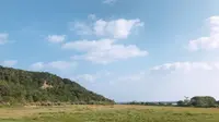 大神島の写真・動画_image_338995