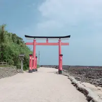 青島神社の写真・動画_image_339070