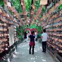 青島神社の写真・動画_image_339071