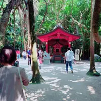 青島神社の写真・動画_image_339073