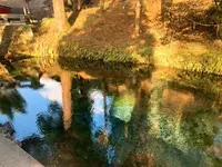 白川水源の写真・動画_image_339805